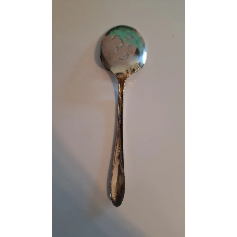 VINTAGE WM A ROGERS MEADOWBROOK SILVERPLATE SERVING SPOON ONEIDA 5.25